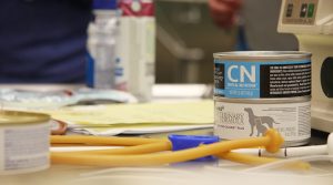 nutrition-faq-1